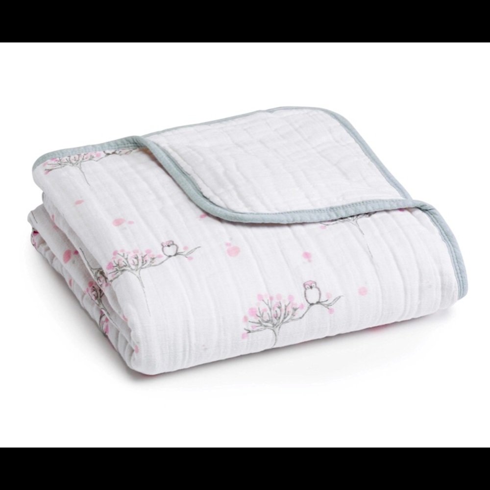 Aden & Anais Dream Blanket and changing pad - NWT